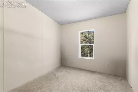 324 Will Stutley Dr, Divide, CO 80814 photo 25