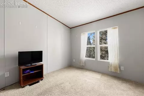 324 Will Stutley Dr, Divide, CO 80814 photo 23