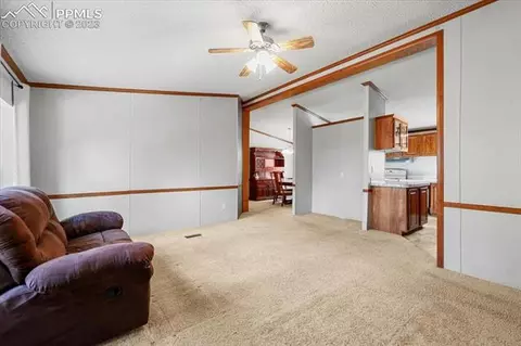 324 Will Stutley Dr, Divide, CO 80814 photo 12