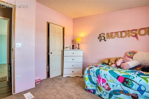 202 Elfin Glen Dr, Divide, CO 80814 photo 33