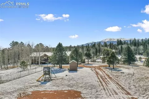 63 Bear Claw Trl, Divide, CO 80814 photo 5