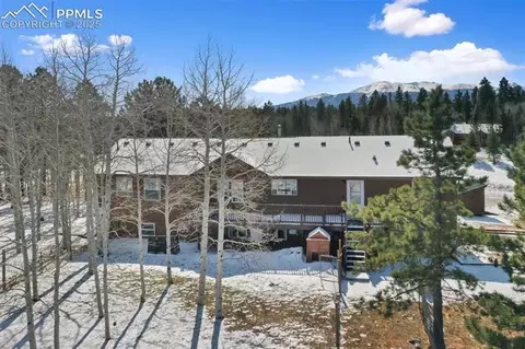 63 Bear Claw Trl, Divide, CO 80814 photo 2