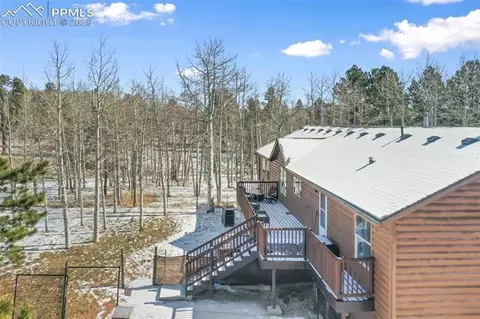 63 Bear Claw Trl, Divide, CO 80814 photo 3