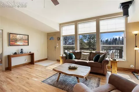63 Bear Claw Trl, Divide, CO 80814 photo 14