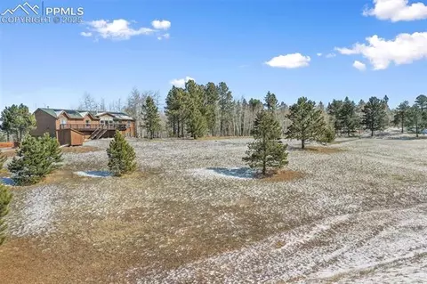 63 Bear Claw Trl, Divide, CO 80814 photo 6