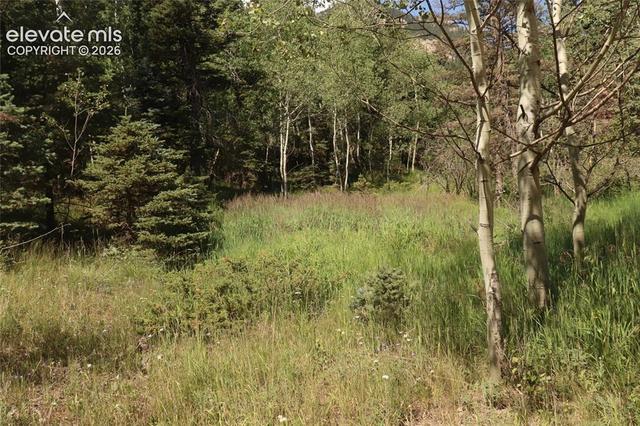 208 Coffee Rd, Manitou Springs, CO 80829
