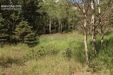 286 Coffee Rd, Manitou Springs, CO 80829