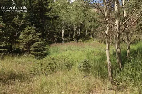 286 Coffee Rd, Manitou Springs, CO 80829
