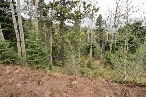 lot2825 Moir Dr, Fort Garland, CO 81133