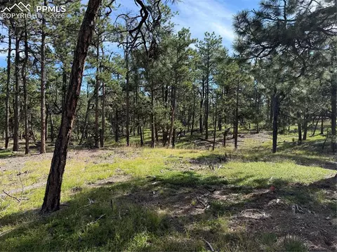17405 E Goshawk Rd, Colorado Springs, CO 80908