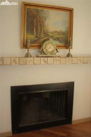 354 Raspberry Ln, Monument, CO 80132 photo 2