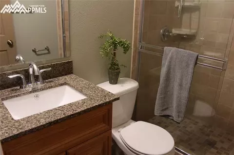 354 Raspberry Ln, Monument, CO 80132 photo 10