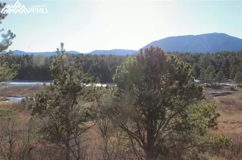 354 Raspberry Ln, Monument, CO 80132 photo 18