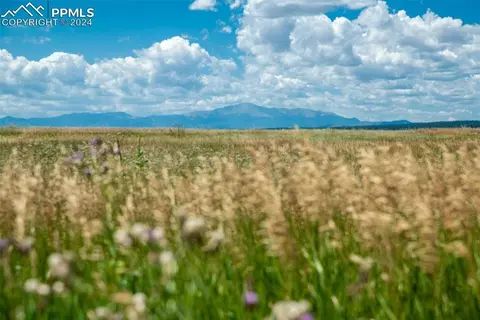 14715 Tiboria Loop, Peyton, CO 80831 photo 4