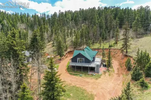 1699 Spring Valley Dr, Divide, CO 80814 photo 1