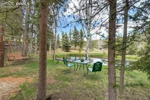 1699 Spring Valley Dr, Divide, CO 80814 photo 4