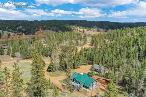1699 Spring Valley Dr, Divide, CO 80814 photo 36