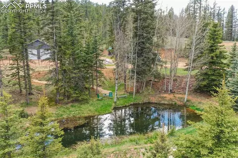 1699 Spring Valley Dr, Divide, CO 80814 photo 5
