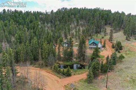1699 Spring Valley Dr, Divide, CO 80814 photo 2
