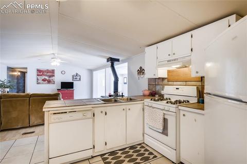 353 Shadow Lake Dr, Divide, CO 80814 photo 10