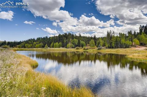 353 Shadow Lake Dr, Divide, CO 80814 photo 28