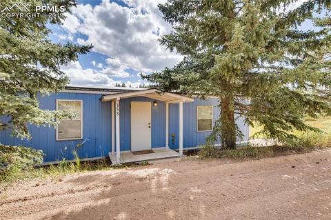 353 Shadow Lake Dr, Divide, CO 80814 photo 3