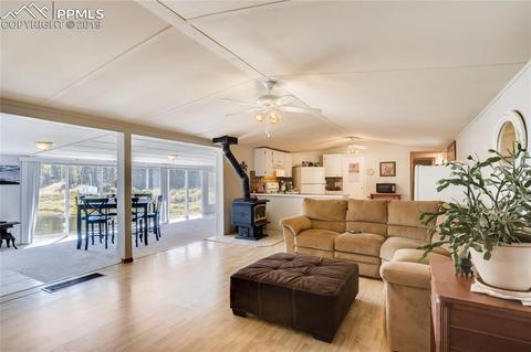 353 Shadow Lake Dr, Divide, CO 80814 photo 6