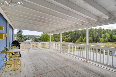353 Shadow Lake Dr, Divide, CO 80814 photo 22