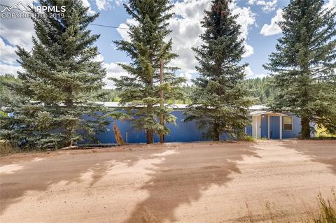 353 Shadow Lake Dr, Divide, CO 80814 photo 1