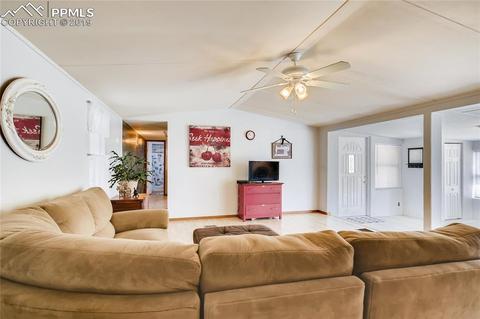 353 Shadow Lake Dr, Divide, CO 80814 photo 4