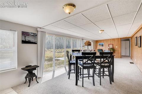 353 Shadow Lake Dr, Divide, CO 80814 photo 12