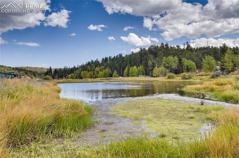 353 Shadow Lake Dr, Divide, CO 80814 photo 27