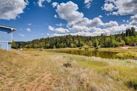 353 Shadow Lake Dr, Divide, CO 80814 photo 24
