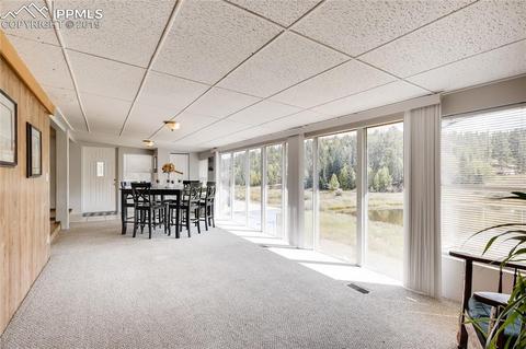 353 Shadow Lake Dr, Divide, CO 80814 photo 13