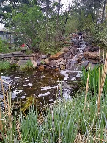 1655 Collins Rd, Colorado Springs, CO 80920