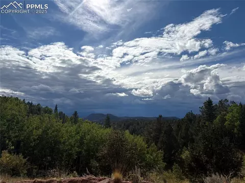 70 Brown Bear Ln, Cripple Creek, CO 80813