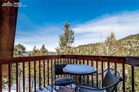 118 Ankerite Ln, Divide, CO 80814 photo 15