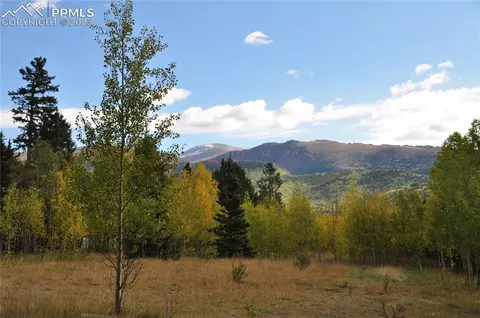 633 County Road 61, Florissant, CO 80816