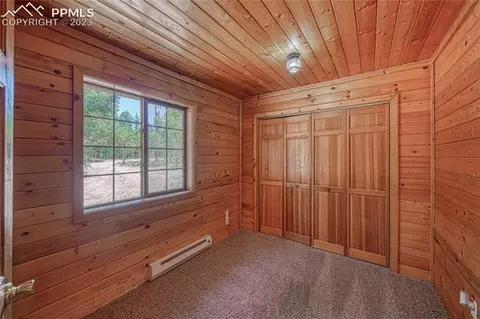 3723 Omer Ln, Divide, CO 80814 photo 22
