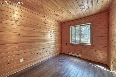 3723 Omer Ln, Divide, CO 80814 photo 34