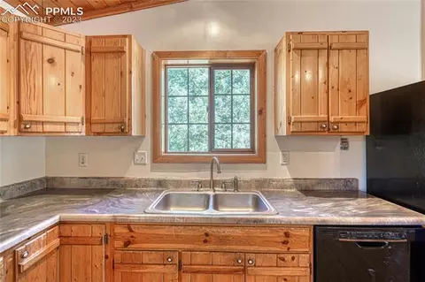 3723 Omer Ln, Divide, CO 80814 photo 20