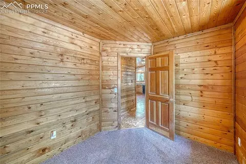 3723 Omer Ln, Divide, CO 80814 photo 23