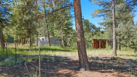 3723 Omer Ln, Divide, CO 80814 photo 8