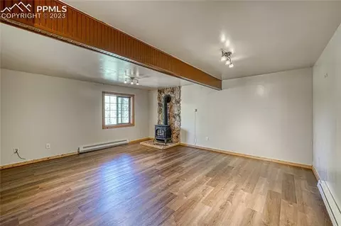3723 Omer Ln, Divide, CO 80814 photo 29