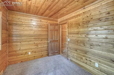 3723 Omer Ln, Divide, CO 80814 photo 27