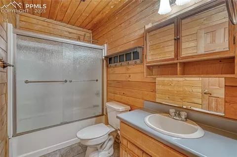 3723 Omer Ln, Divide, CO 80814 photo 24