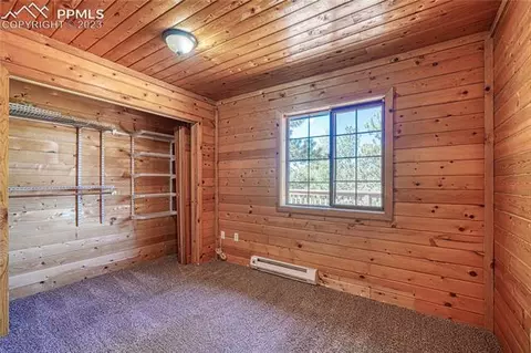 3723 Omer Ln, Divide, CO 80814 photo 25