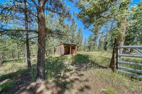 3723 Omer Ln, Divide, CO 80814 photo 46