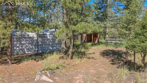 3723 Omer Ln, Divide, CO 80814 photo 40