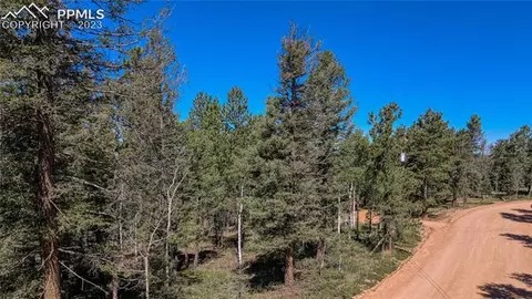 3723 Omer Ln, Divide, CO 80814 photo 4